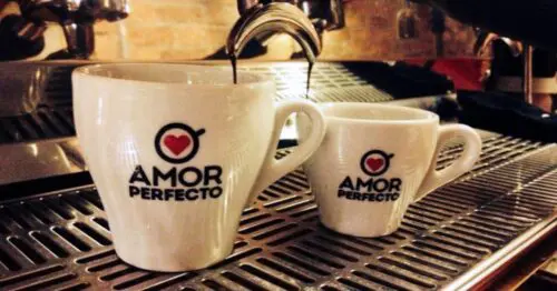 AMOR PERFECTO SA CAFE AMOR PERFECTO SA CAFE